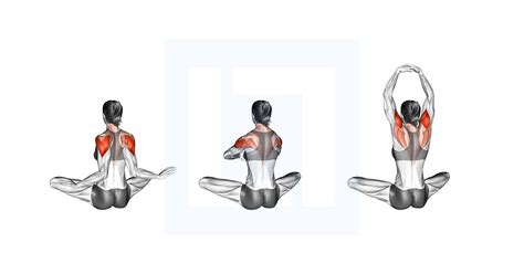 Seated Ballerina Guide Benefits And Form