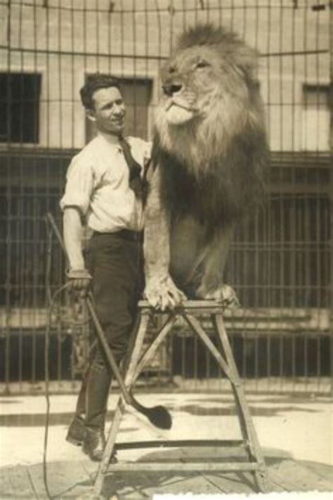 Lion Tamer Old Circus Vintage Circus Vintage Circus Photos