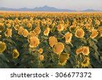 View from Mount Sunflower at Mount Sunflower, Kansas image - Free stock ...