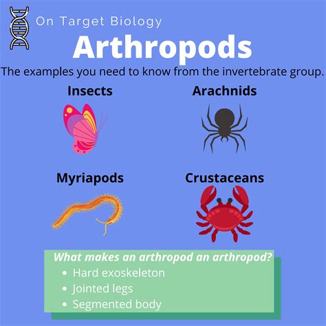 Invertebrates Sarah Williams Page 3 Flip Pdf Online Pubhtml5