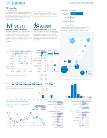 Somalia: Population Dashboard | Global Focus