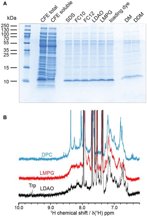 Reconstitution And Nmr Characterization Of The Ion Channel Accessory