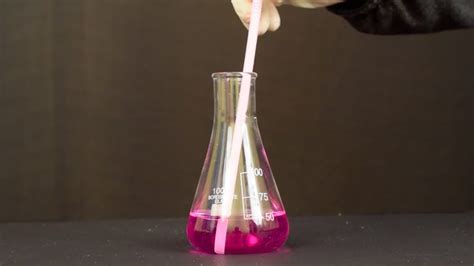 Ph Indicator 101 Science Experiments Youtube