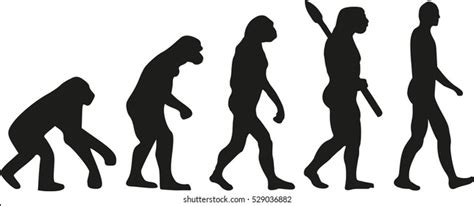 315 038 Evolution Bilder Stockfotos Und Vektorgrafiken Shutterstock