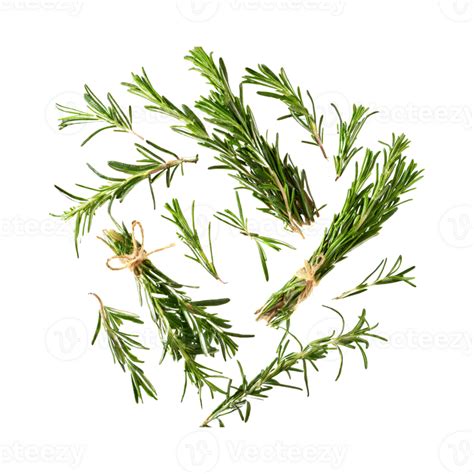 AI Generated Floating Of Bunches Rosemary Without Shadow Isolated