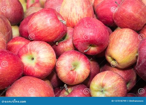 Frutta Stagionale Di Stagione Di Autunno Della Frutta Delle Pere Di