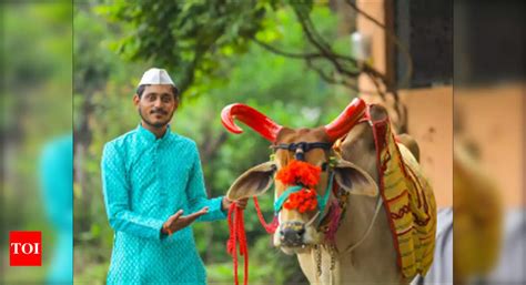 bail pola  today  auspicious time  significance