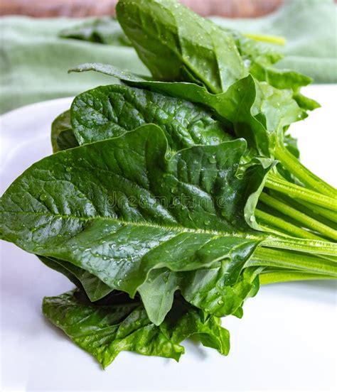 Bunch Of Green Fresh Organic Spinach Leaves Stock Image Image Of