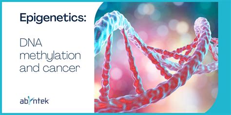 Epigenetics: DNA methylation and cancer - Abyntek Biopharma