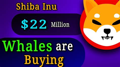 Shiba Inu Milion Bought By This Big Whale Shib Price News Youtube