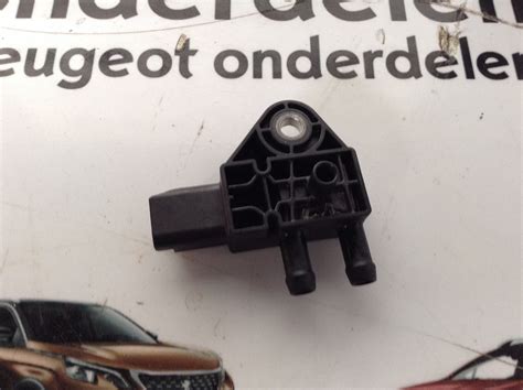 Roetfilter Sensor Peugeot Hdi Bosch