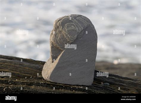 natural bird shaped rock sculpture norwegian beach troms region Stock ...