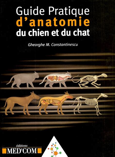 Guide Pratique D Anatomie Du Chien Et Du Chat Mon Guide