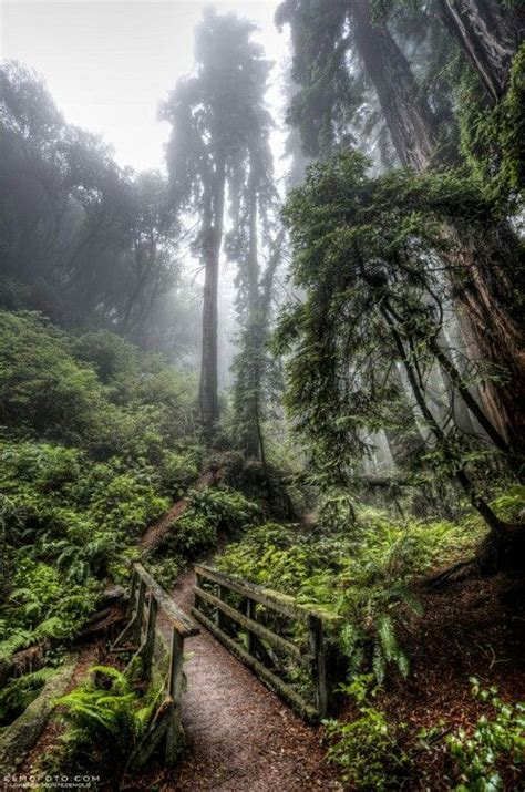 Mount Tamalpais State Park