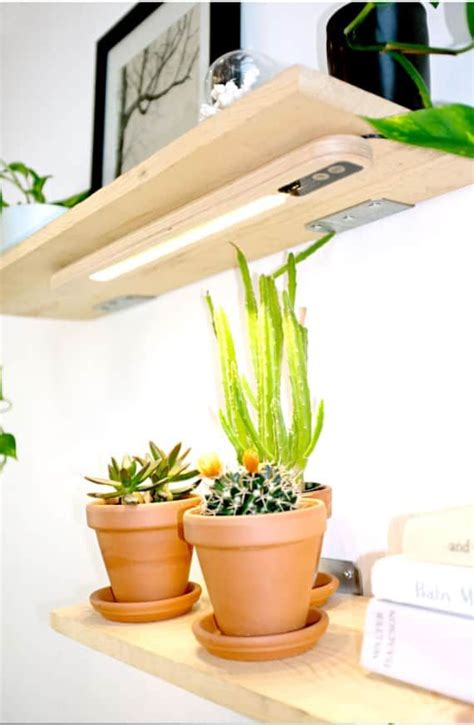 Three Potted Plants Sitting On Top Of A Wooden Shelf