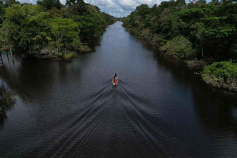 From Iquitos Day Tour Pacaya Samiria National Reserve Getyourguide