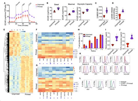 Priming Of CBti Derived MSC Induces Metabolic Reprogramming