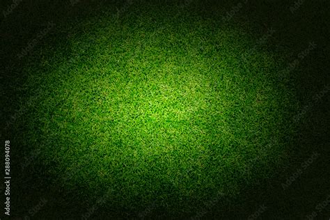 grass texture background Stock Photo | Adobe Stock