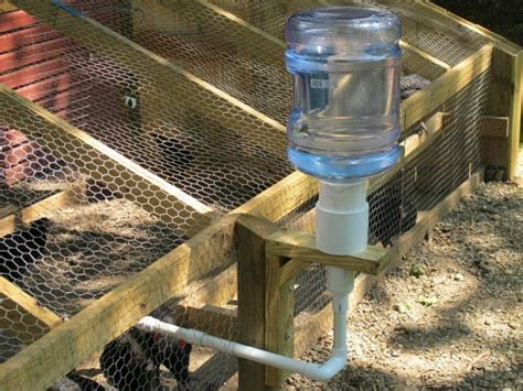 Chicken Water Station Creative Ideas The Owner Builder Network