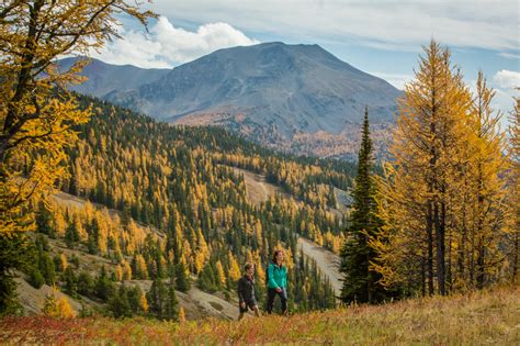 Larch Valley Everything You Need To Know Before Hiking