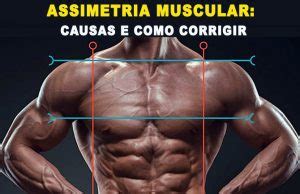 Assimetria Muscular Causas E Como Corrigir 5 Dicas Treino Mestre