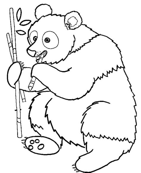 Detail Gambar Mewarnai Panda Koleksi Nomer 37