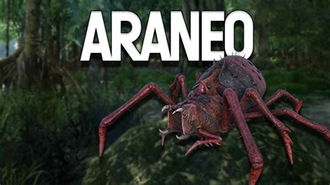 ARK: Araneo - How to tame, feed and breed!