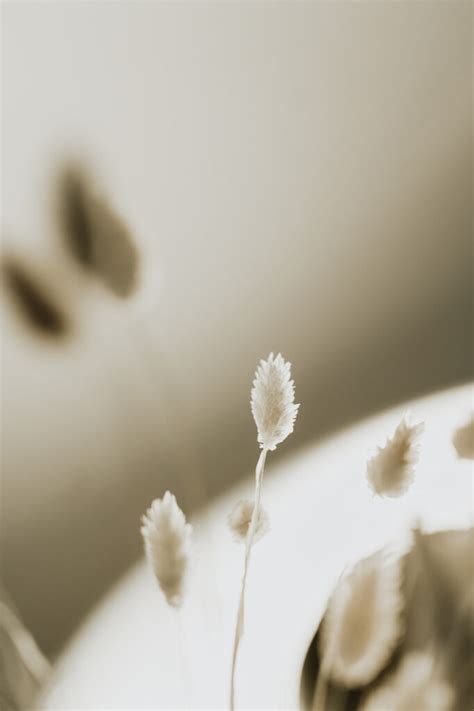 Sex Nach Der Geburt Dreh Nochmal Das Mobile Ich Komme Gleich Aempf Magazin