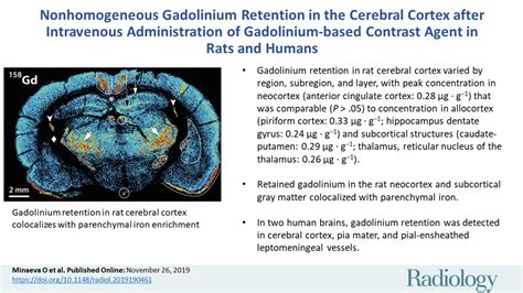 Nonhomogeneous Gadolinium Retention In The Cerebral Cortex After