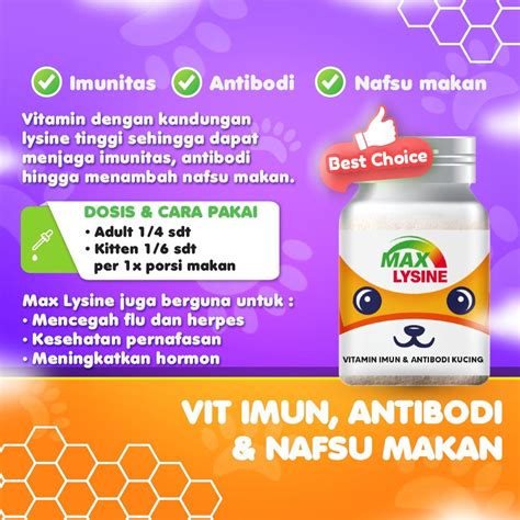 Jual MAX LYSINE 50 Gr Vitamin Imun Antibodi Dan Nafsu Makan Kucing