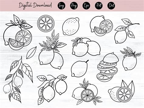 Lemons Svg File Lemon Border Svg File Summer Svg Lemon Cut File