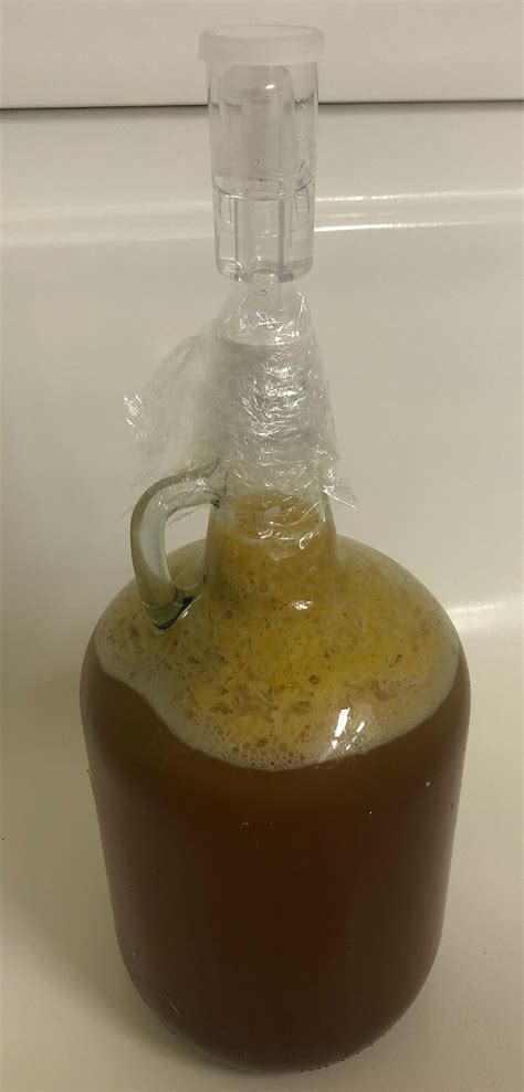 Kinda Looks Like Sauerkraut On Top More In Comments Rmead