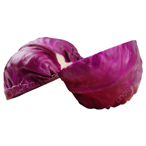 Purple Cabbage Cabbage Cut In Half Vegetables Cabbage Health Png