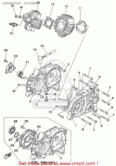 9250106055 Screw Pan Head Yamaha Buy The 925 01060 55 At CMSNL