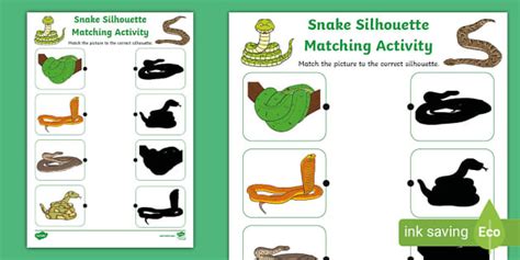 Snake Silhouette Matching Activity Hecho Por Educadores