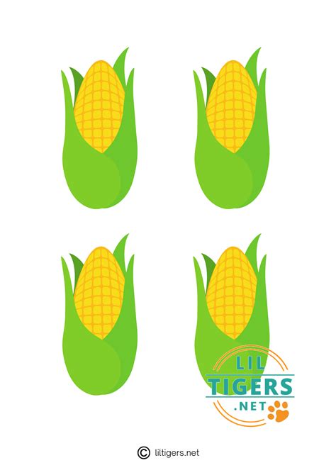 Corn On The Cob Template