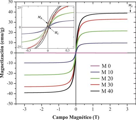 Curvas de magnetización en función del campo para las muestras a una