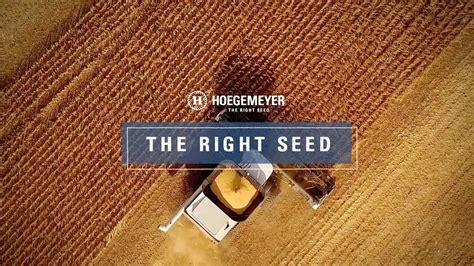 Hoegemeyer Hybrids: The Right Seed - YouTube