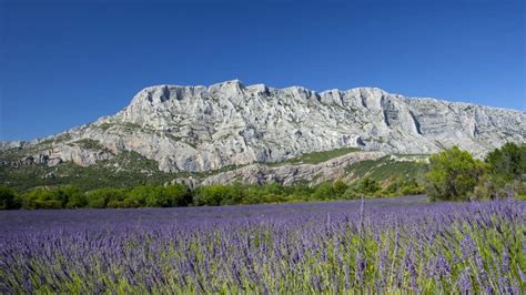 Randonn E Montagne Sainte Victoire Aix En Prvence