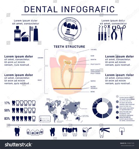 Dental Infographic Teeth Structure Stock Vector 476857105 Shutterstock