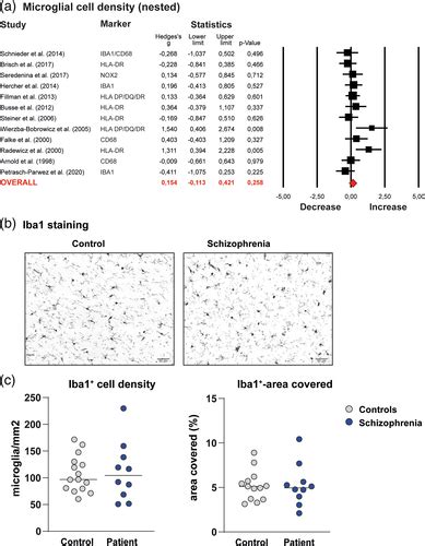 A Loss Of Mature Microglial Markers Without Immune Activation In