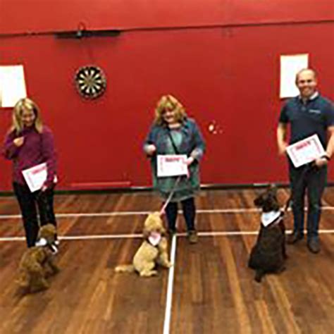 Jackador Dog Training and Behaviour School