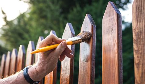 Varnish: Types, Advantages and Application