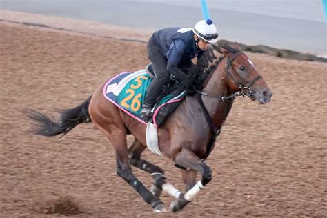 【今週の注目新馬】コンドライトの母アエロリットは重賞3勝 菊沢師「稽古は申し分のない動き」 サンスポzbat