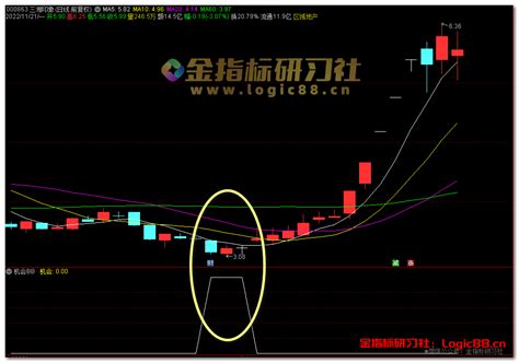 【精品】通达信寻底部反转信号指标，波段高成功率，电脑手机双端【会员免费】 金指标研习社