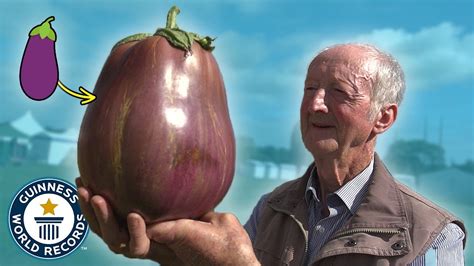 Giant Vegetable Championship Guinness World Records Youtube