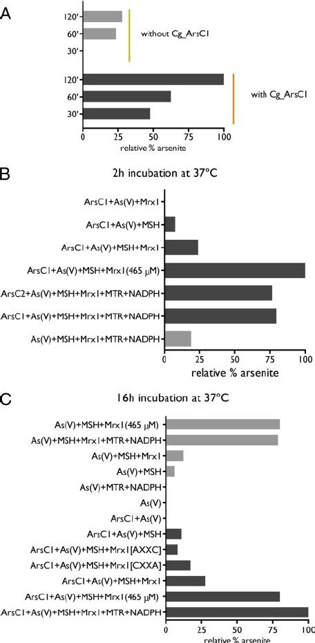 Cg Arsc Catalyzes The Msh Mrx Dependent Reduction Of Arsenate To