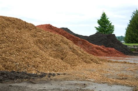 Piles Various Colored Mulch Or Wood Chips For Landscaping Stock Photo