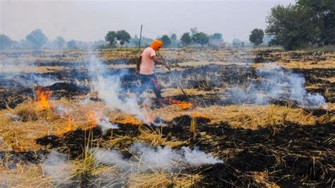 Stubble Burning Punjab Govt To Take Action Against 3 000 Farmers India News