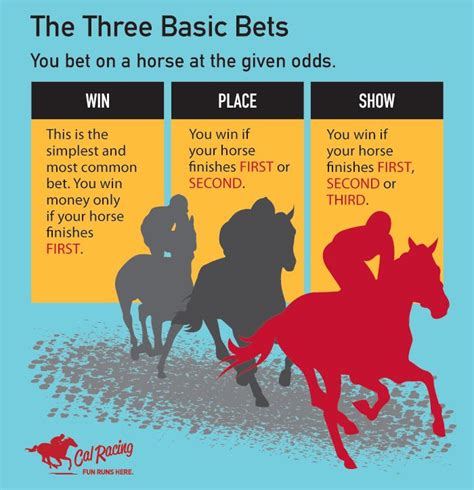 Horse Racing 101 The Three Basic Bets Horseracing Paradepaard